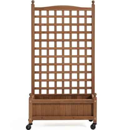 Raised Garden Bed with Trellis planter Box