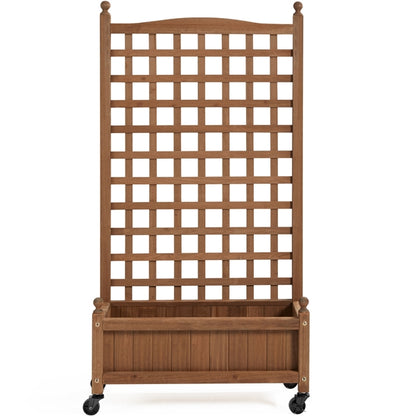 50" H Raised Garden Bed with Trellis planter Box for Vine Climbing Plant